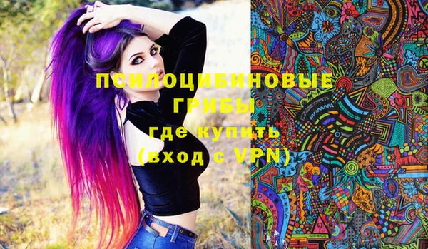 эйфоретик Алексин