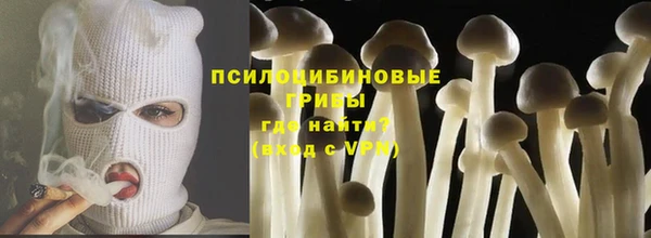 эйфоретик Алексин