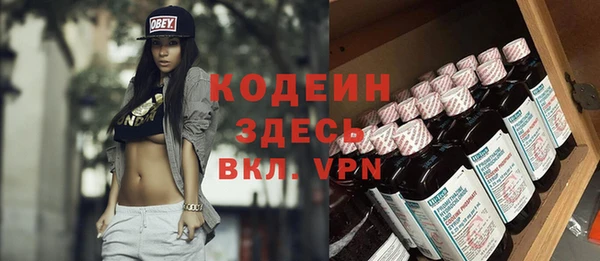 шишки Ельня