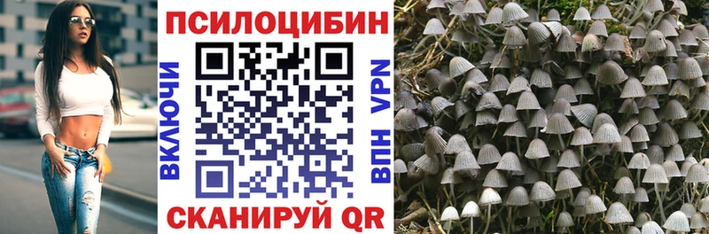 Псилоцибиновые грибы мухоморы  дарнет шоп  mega онион  Ставрополь 